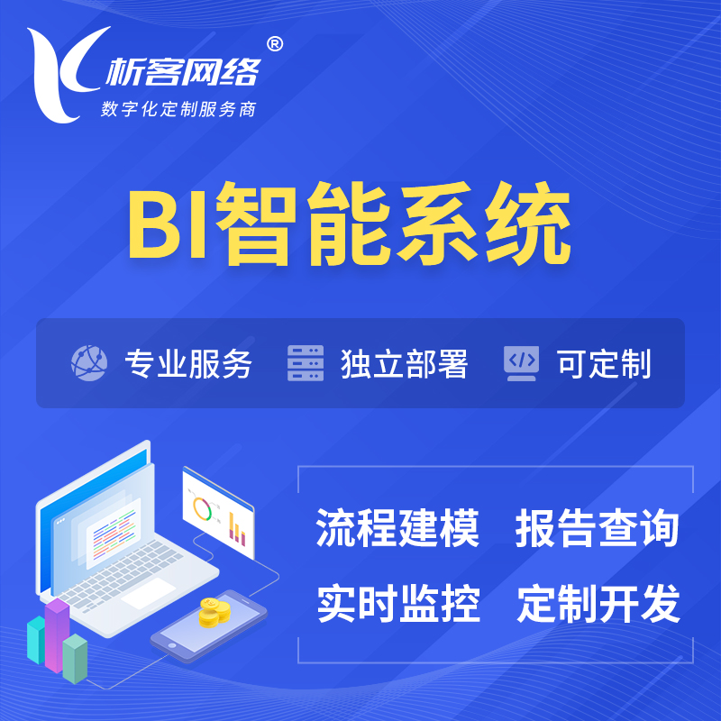 台南BI智能系统 | BI数据可视化