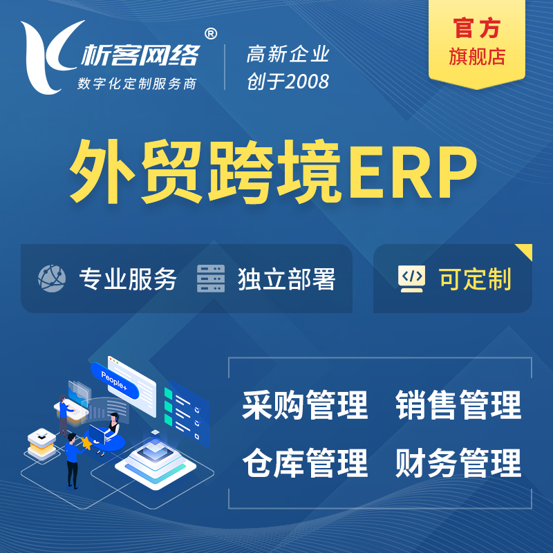台南外贸跨境ERP软件生产海外仓ERP管理系统